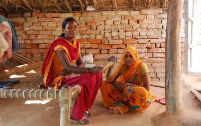 Global health researcher digs into complex etiology of anemia in mothers and children